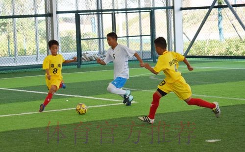 层林尽染湘江岸 “百舸”争流奋拼搏——2018“我爱足球”中国足球民间争霸赛南二赛区圆满结束